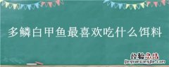 多鳞白甲鱼最喜欢吃什么饵料 多鳞白甲鱼好吃吗