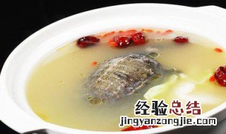清炖甲鱼汤的做法窍门 清炖甲鱼汤的做法