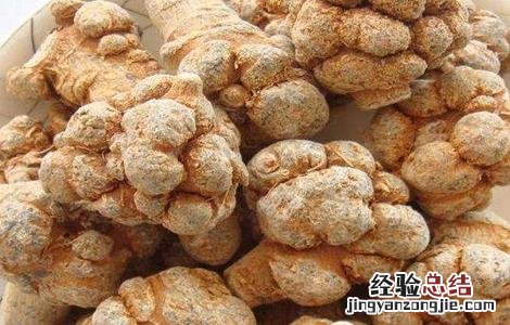 田七的种植方法 田七的种植方法和时间
