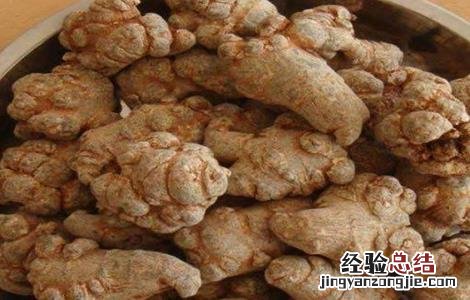 田七的种植方法 田七的种植方法和时间