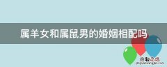 属羊女和属鼠男婚配如何 属羊女和属鼠男的婚姻相配吗