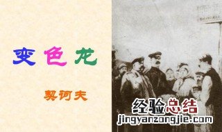 变色龙主旨 变色龙的主题是什么