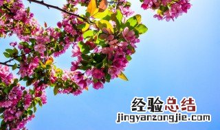 寓意美好的英文短句有哪些 那些寓意美好的英文短句