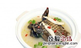 甲鱼汤放西洋参的功效 西洋参甲鱼汤怎么做