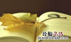 战争与和平故事梗概400字 战争与和平故事梗概