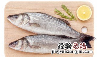 鲈鱼为何要少吃 海鲈鱼为何要少吃