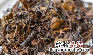 岩青兰的功效及图片 岩青兰的功效与作用