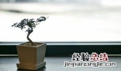盆组词组 盆组词