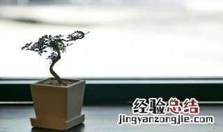 盆组词组 盆组词
