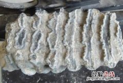 龙齿 龙齿的功效和作用及禁忌