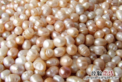珍珠 珍珠棉