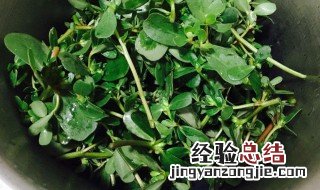 新鲜马齿苋煮水方法 新鲜马齿苋怎么煮水喝