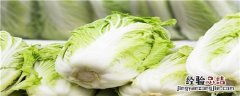 大白菜腐烂病特效药 白菜腐烂病用什么药治
