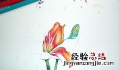 水彩笔涂错了怎么擦掉 水彩笔涂错了怎么擦掉纸上