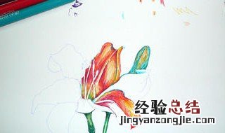 水彩笔涂错了怎么擦掉 水彩笔涂错了怎么擦掉纸上