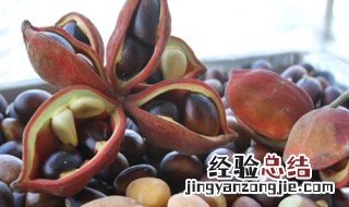 凤眼果的做法 凤眼果的烹饪方法
