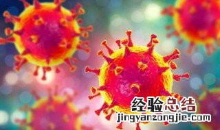 重症和危重症哪个重 什么是新型冠状病毒