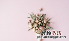 送花不实用 不可不知的送花小技巧