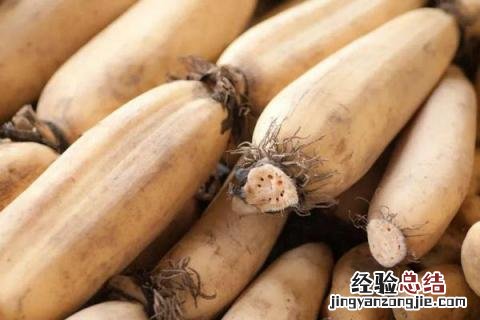 莲藕七孔和九孔的区别是什么 莲藕七孔和九孔的区别