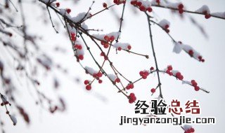 描写雪景的唯美简短句子有哪些 描写雪景超唯美的短句