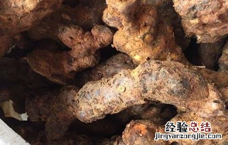 茯苓如何种植 茯苓如何种植高产