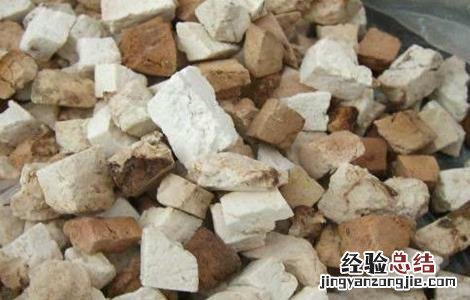 茯苓如何种植 茯苓如何种植高产