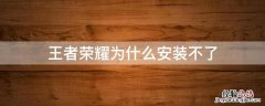 王者荣耀为什么安装不了 王者荣耀为什么安装不了游戏