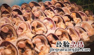 紫石房蛤的做法 紫石房蛤怎么吃