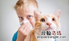 如何处理猫抓伤 怎么处理猫抓伤