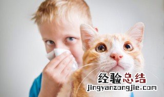 如何处理猫抓伤 怎么处理猫抓伤