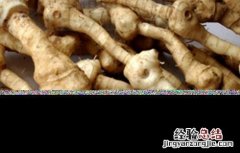 如何种植黄精种子 如何种植黄精