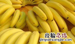 无种子的植物有哪些? 无种子植物有哪些?