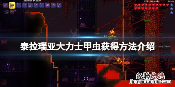 泰拉瑞亚大力士甲虫怎么获得视频 泰拉瑞亚大力士甲虫怎么获得