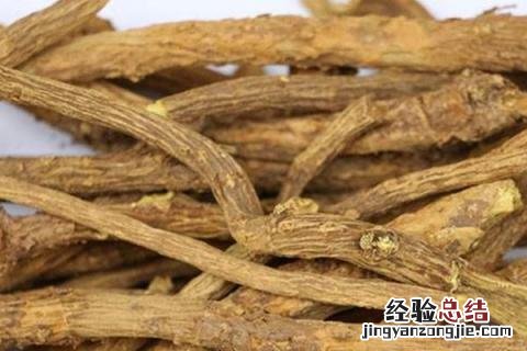 北方适合种植什么药材，东北地区产出的关防风、牛夕质量更好