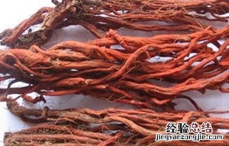丹参高产的种植方法 丹参的种植技术
