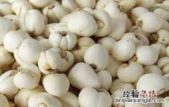 贝母种植的注意事项 贝母种植的注意事项