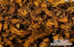 黄连种植的注意事项和禁忌 黄连种植的注意事项