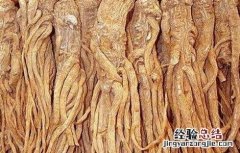 当归的田间管理方法有哪些 当归的田间管理方法