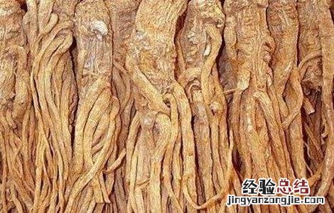 当归的田间管理方法有哪些 当归的田间管理方法