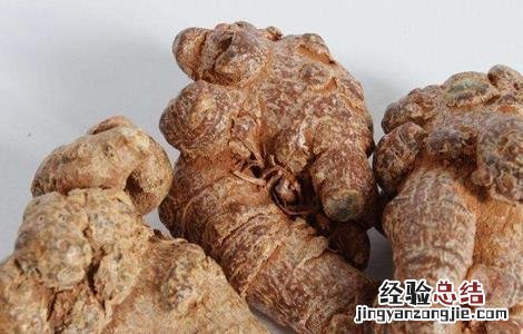 三七的种植方法 三七的种植方法及条件