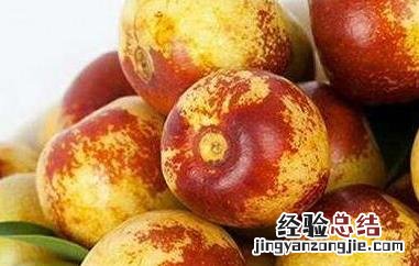 北枣 功效 北枣的功效与作用及禁忌