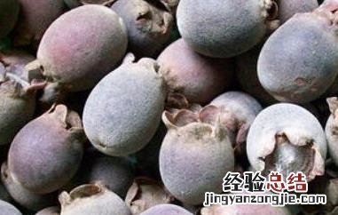 豆念果的功效和作用禁忌 豆念果的功效和作用