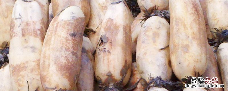 莲藕怕冻吗 莲藕能冻死吗