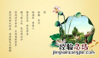 超级温柔的文案 分别有哪些
