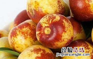 冬枣的功效与作用及禁忌 冬枣的功效与作用及禁忌症是什么