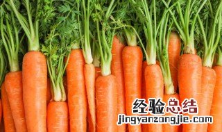 吃胡萝卜可以减肥吗 减肥期间能吃胡萝卜吗