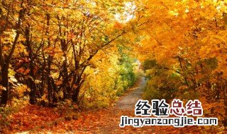 关于秋天的名言名句翻译成英语 关于秋天的名言名句