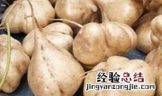 豆薯不能和什么一起吃 那些食物不能和豆薯一起吃