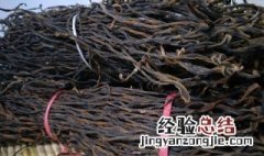 干豆角蘑菇能一起炒吗 干豆角炖红蘑怎么做