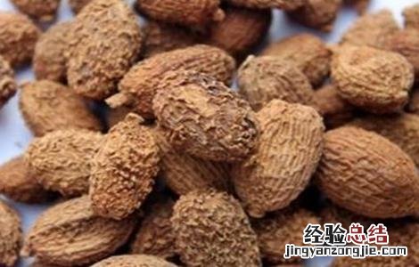 砂仁种植技术视频 砂仁种植技术